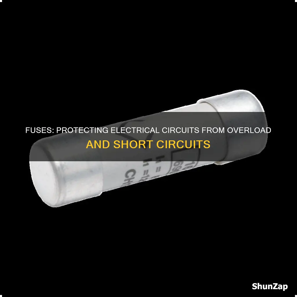 how does fuse protect an electric circuit