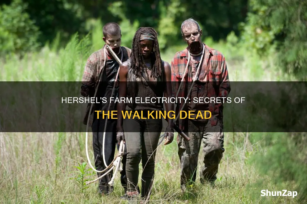 how does hershel