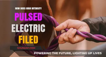 The Future of Food: Pulsed Electric Fields