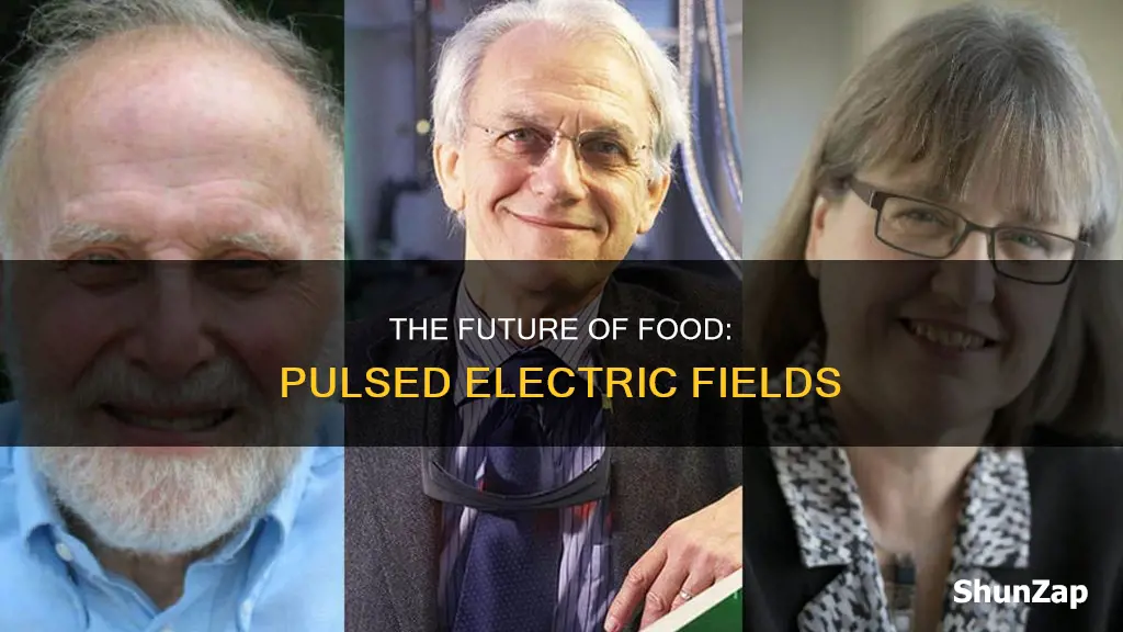 how does high intensity pulsed electric filed