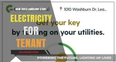 Setting Up Electricity: A Landlord's Guide for Tenant's Power