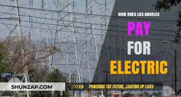 Electricity in LA: Who Pays and How?