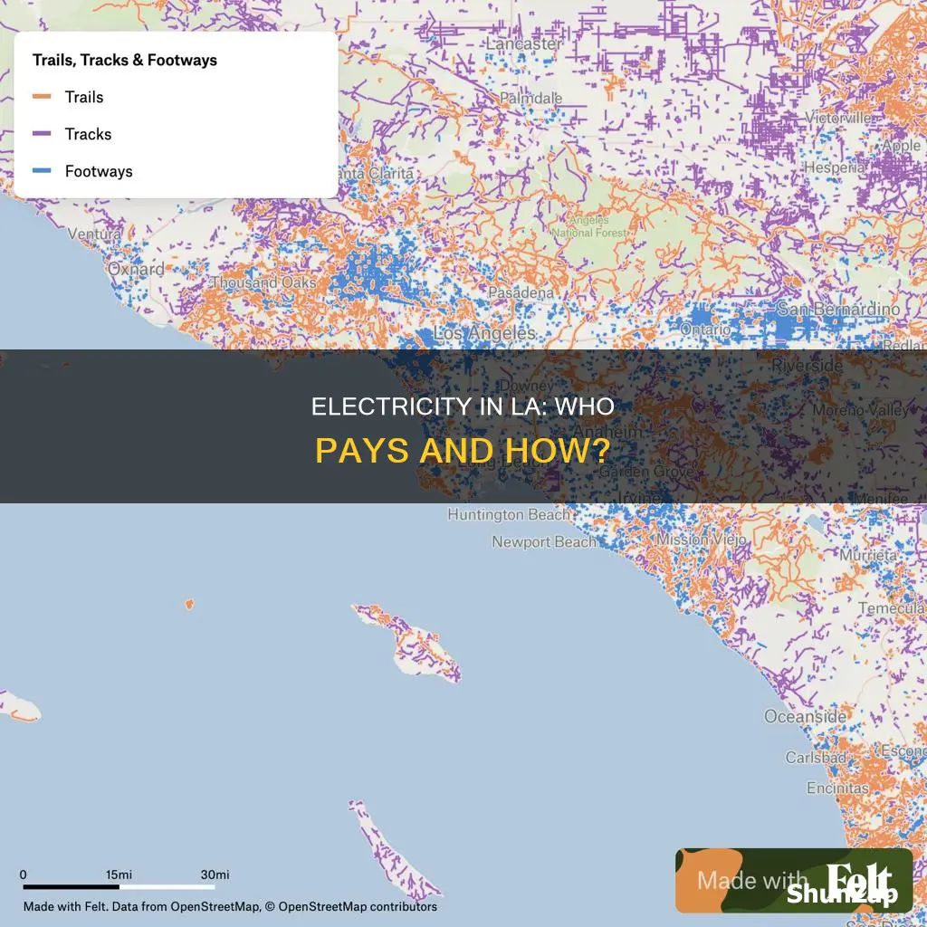 how does los angeles pay for electric