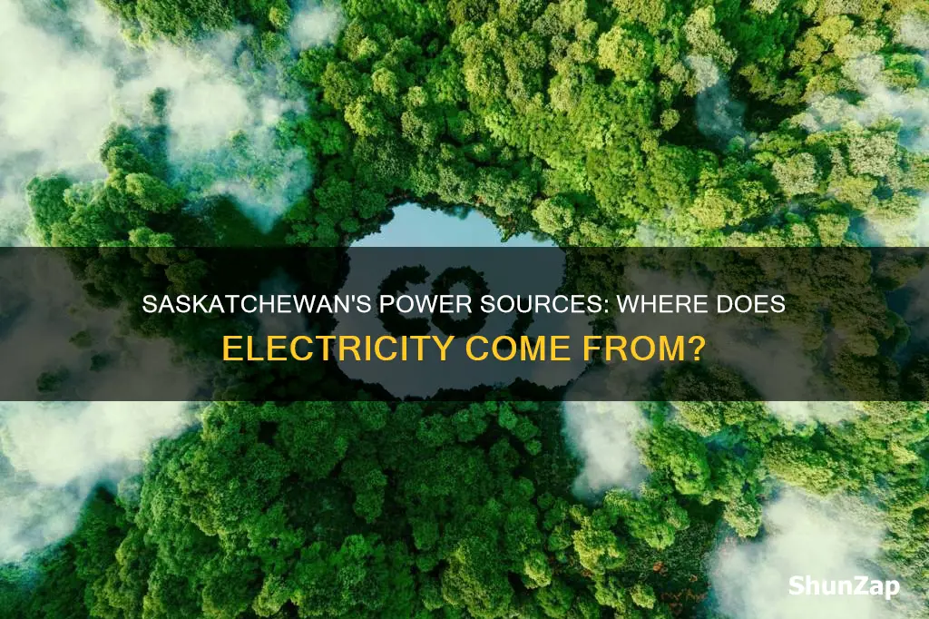 how does most of saskatchewan receive electricity