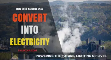 Natural Gas Power: Energy Conversion and Electricity Generation