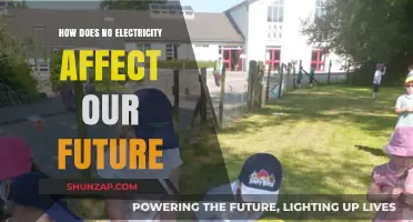The Future Without Electricity: A Dark Age?