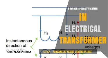 Polarity in Transformers: Why It Matters