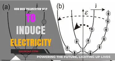 Polarization's Role in Electric Induction Explained