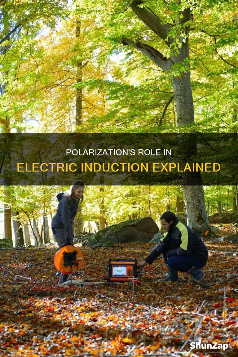 how does polarization help to induce electricity