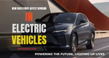 Electric Vehicle Demand: Impact of Price