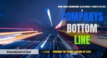 Reducing Electricity Costs: A Boost to Company Profits