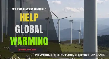 Reducing Electricity Usage: A Global Warming Solution
