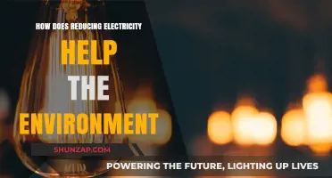 Green Power: Reducing Electricity, Saving the Planet