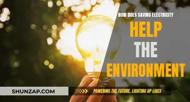 Conserving Energy, Saving the Planet: Electricity's Eco-Impact