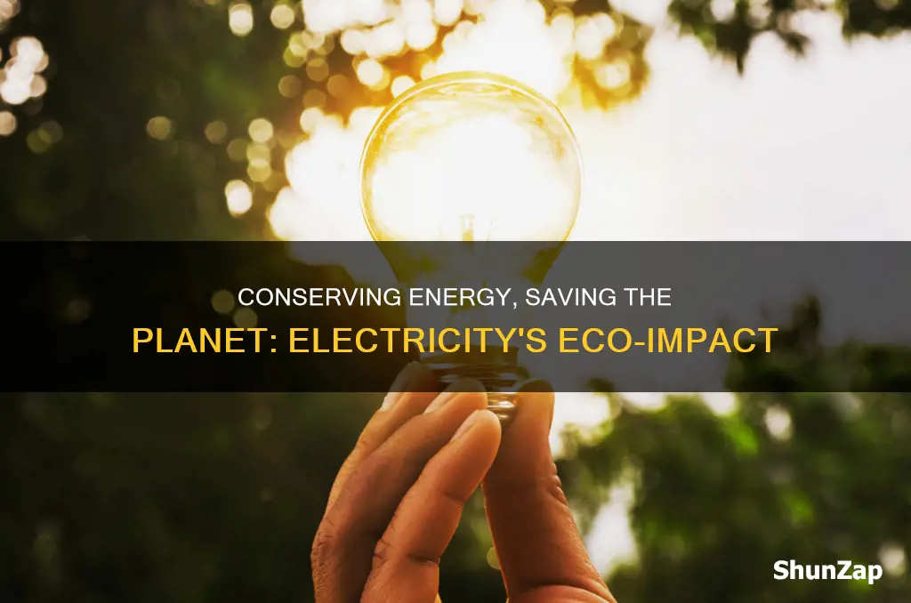 how does saving electricity help the environment