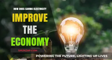 Saving Electricity: Boosting the Economy and Your Wallet