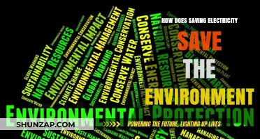Conserving Energy, Conserving Nature