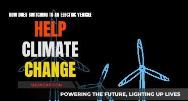 Electric Vehicles: Fighting Climate Change, One Mile at a Time