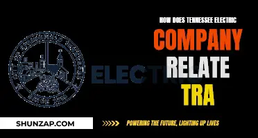 Tennessee Electric Company: TRA Relationship Explored