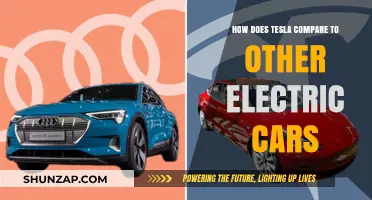 Tesla vs. Rivals: How Does It Compare to Other Electric Cars?