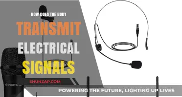 The Body's Electric: How Do Signals Move?