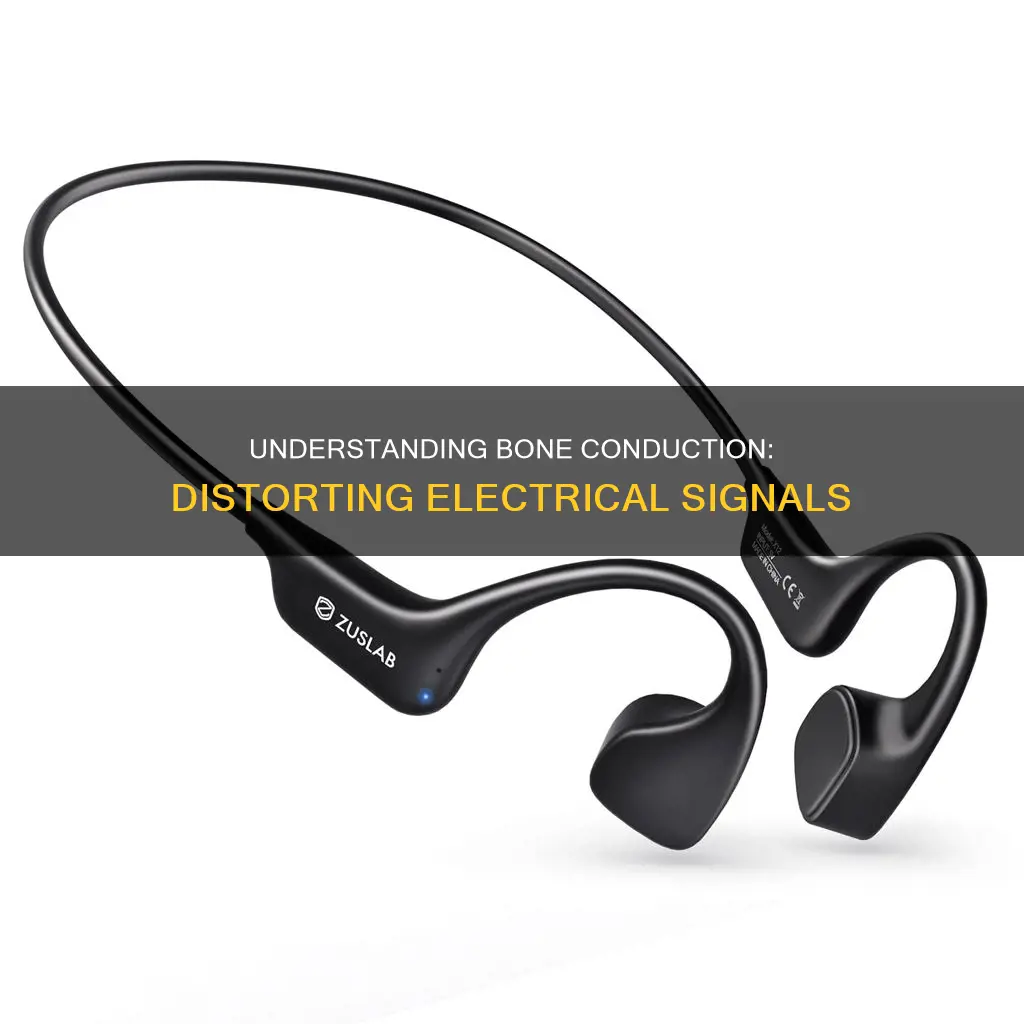 how does the bone distort electrical signal