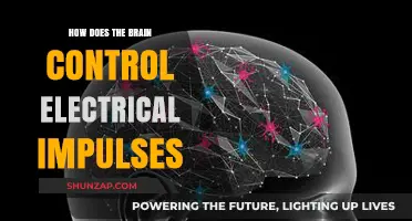 Brain's Electrical Impulses: Understanding the Body's Powerhouse