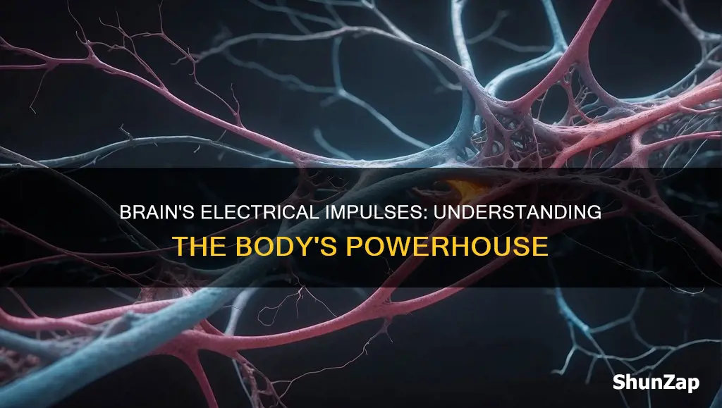 how does the brain control electrical impulses