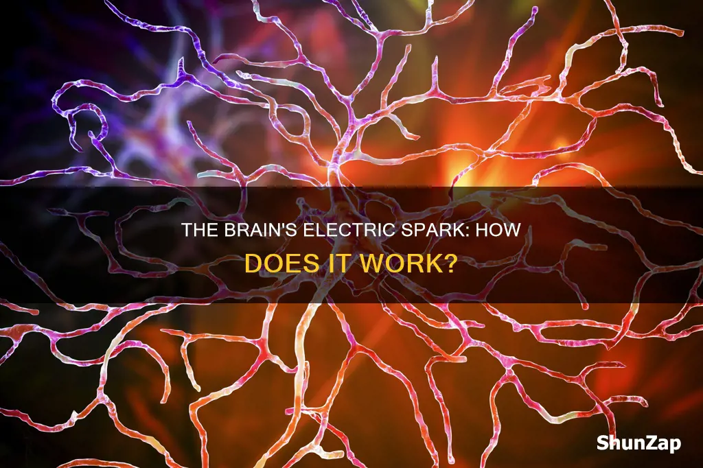 how does the brain send electrical impulses