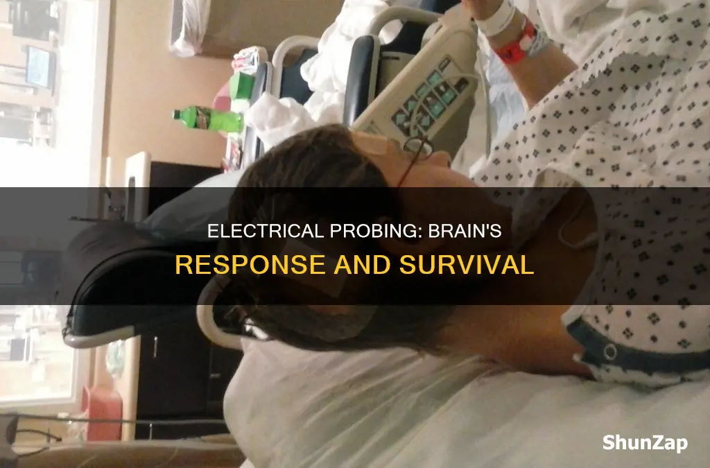 how does the brain survive electrical probing
