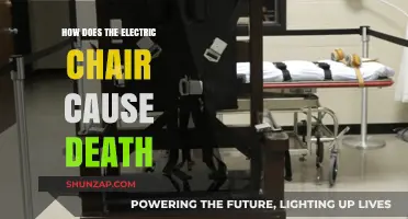Electric Chair: Voltage, Death, and the Human Body