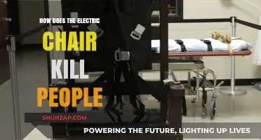 Electric Chair: Mechanism of Death Row Execution