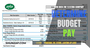 Understanding Electric Company Budget Payment Plans