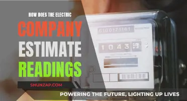 Estimating Electric Meter Readings: How Does It Work?