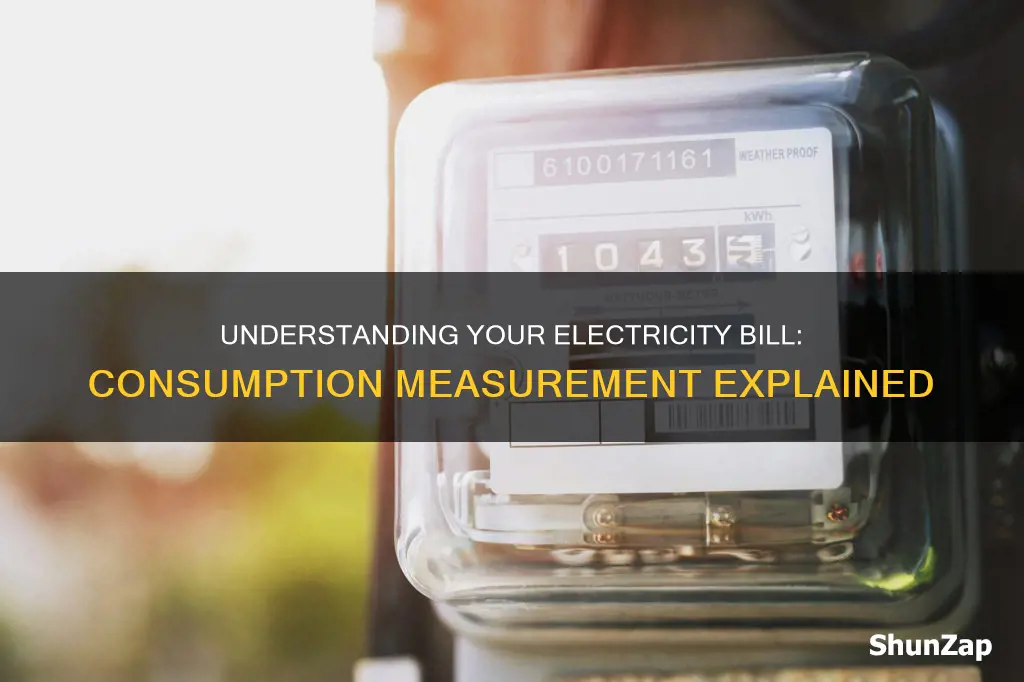 how does the electricity company check your electrictiy copnsumption