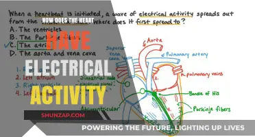The Heart's Electrical Secrets: How Does it Work?
