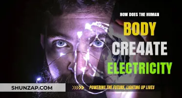 Human Body's Power Plant: Generating Electricity