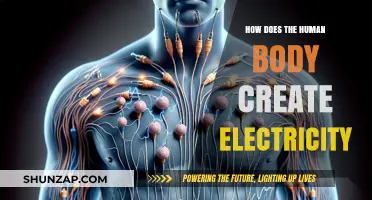 Human Body's Electricity: The Intriguing Power Source