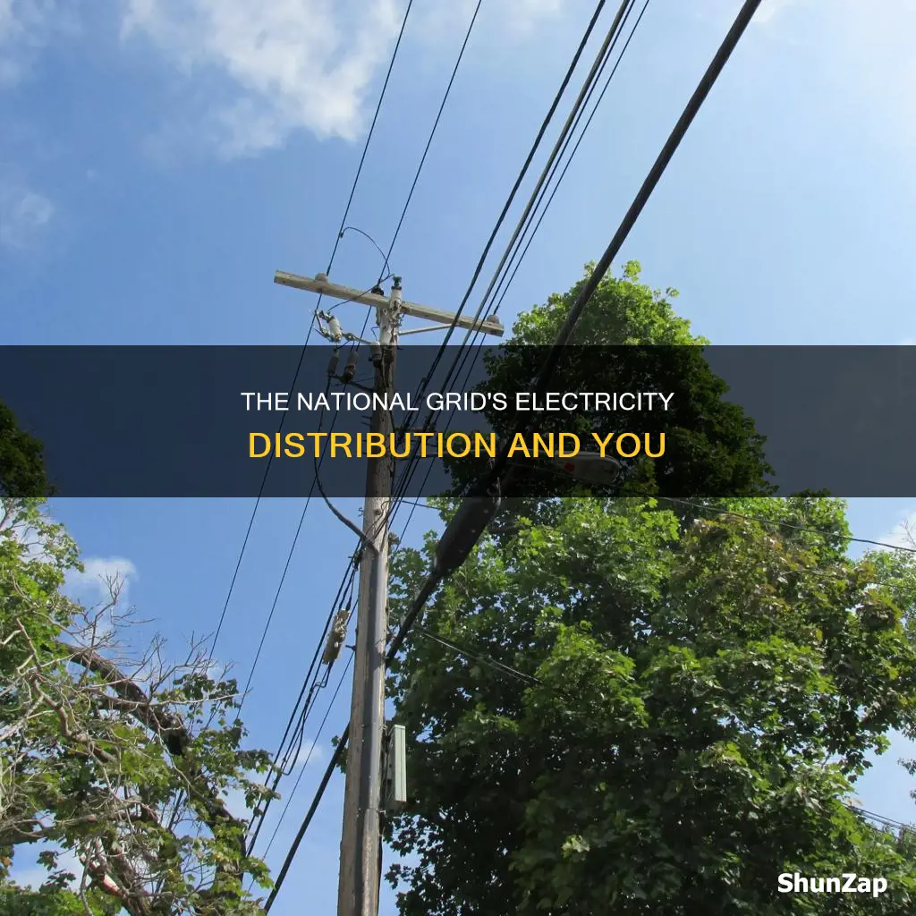 how does the national grid distribute electricity