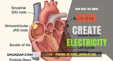 The Sinus Node: Generating Electricity in the Heart