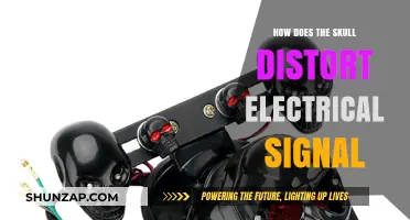 The Skull's Impact: Distorting Brain's Electrical Signals