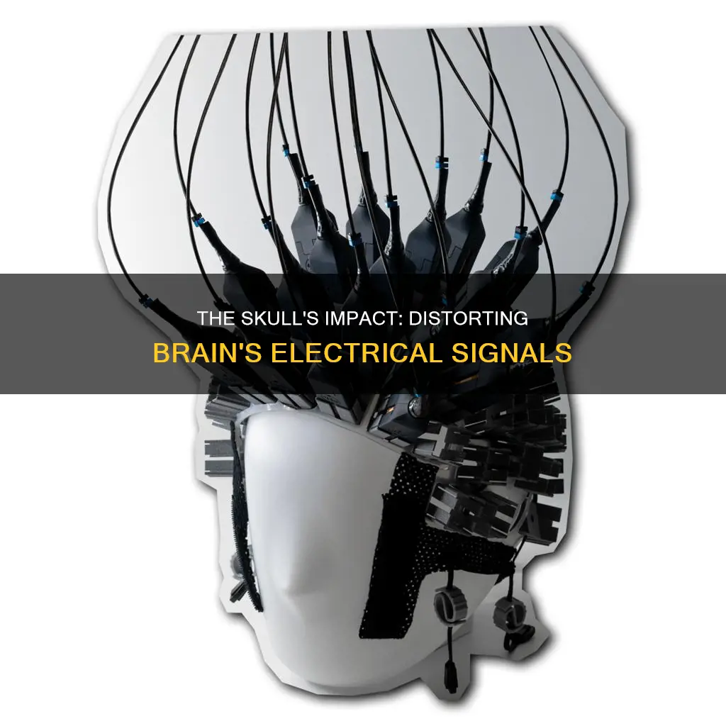 how does the skull distort electrical signal