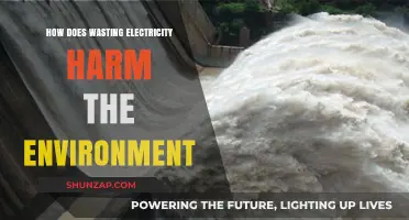 Electricity Waste: Environmental Impact and Energy Loss