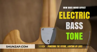 Wood Impact on Electric Bass: Tone and Feel