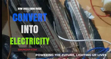 Voice Electricity: Unveiling the Science Behind Voice Conversion
