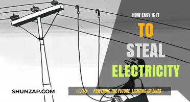 Stealing Electricity: Easy Access or Challenging Crime?
