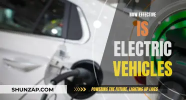 Electric Vehicles: Are They Worth the Hype?