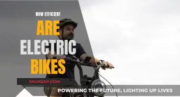 Electric Bikes: Energy Efficiency and Environmental Impact