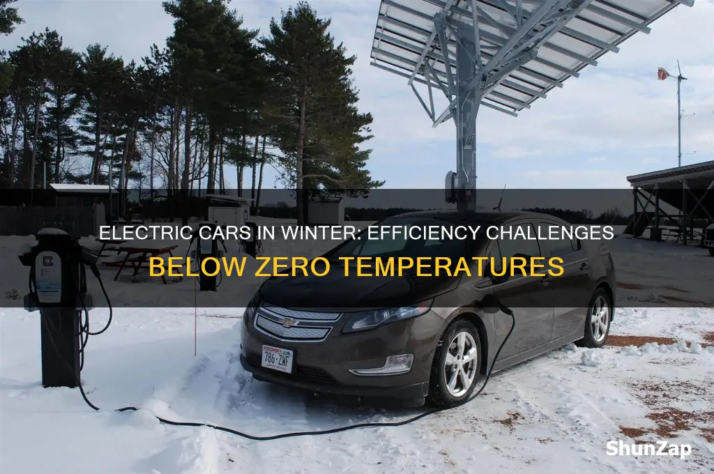 how efficient are electric cars in below zero temperatures