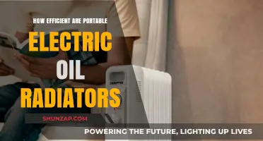 Electric Oil Radiators: Are They Worth the Hype?